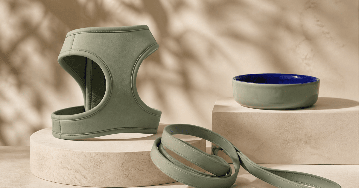 Pet accessories campaign prompt guide cover