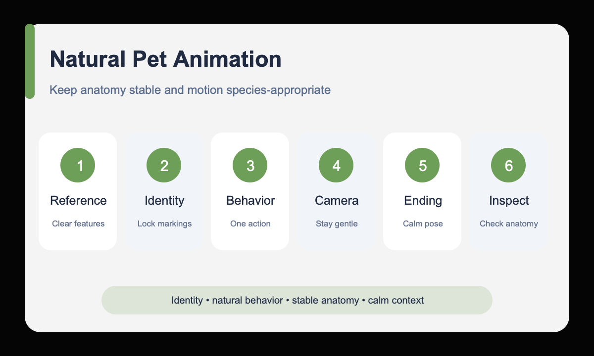 Reference identity behavior camera ending inspect pet animation workflow